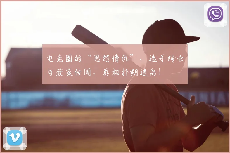 电竞圈的“恩怨情仇”,选手转会与菠菜传闻,真相扑朔迷离!