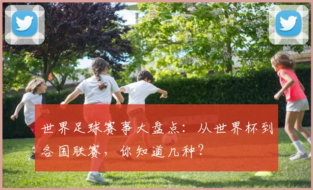 世界足球赛事大盘点:从世界杯到各国联赛,你知道几种?