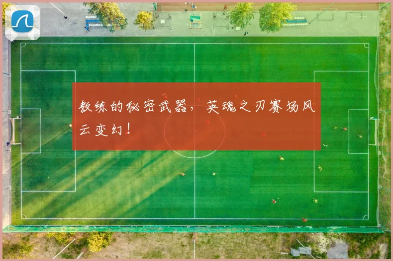 教练的秘密武器,英魂之刃赛场风云变幻!